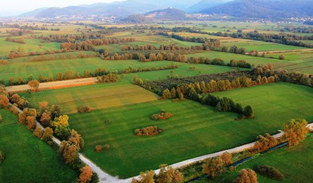 Aktivnosti za vzpostavitev glavne vstopne točke v Krajinski park Ljubljansko barje na Rakovi jelši