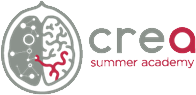 Crea - summer academy