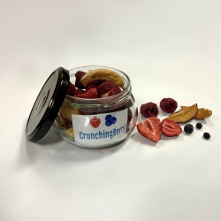 ChrunchingBerry: liofilizacija sadja