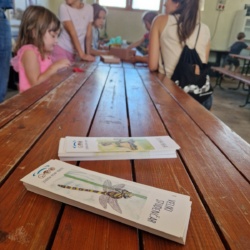 Zgodbe naših mokrišč: oživitev lokalnih ekosistemov