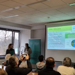 Exploring Sustainable Biomass Use in the Ljubljana Marsh