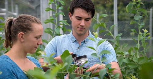 Znanje brez meja: Slovenija in Nova Zelandija se povezujeta za inovacije v kmetijstvu