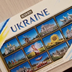 Ukrajinski delegaciji predstavili dobre prakse regionalnega razvoja, razvoja podeželja in podjetništva