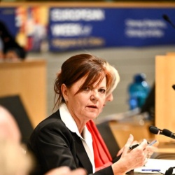 Lilijana Madjar v Bruslju zagovarjala močnejšo vlogo regij v razvojni politiki