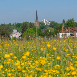 Pilot location - Bavaria