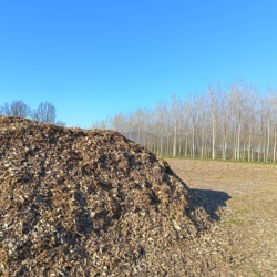 Pilot location - Piedmont