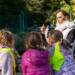 Skriti svet Ljubljanskega barja oživel v Notranjih Goricah