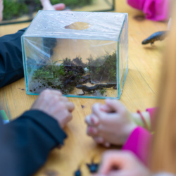 Skriti svet Ljubljanskega barja oživel v Notranjih Goricah